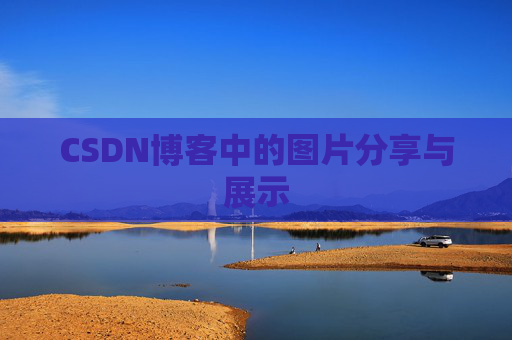CSDN博客中的图片分享与展示